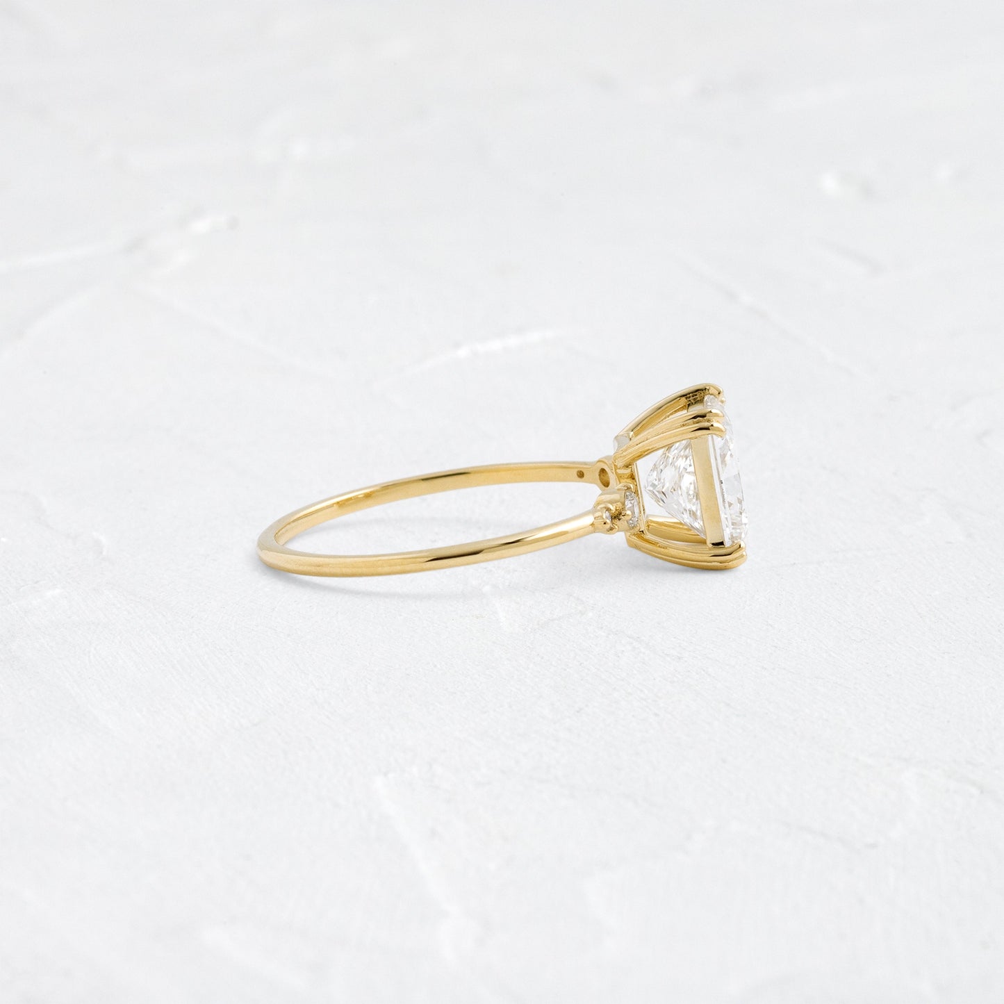 Double Prong & Four Stone-Princess Lab Grown Diamond Engagement Ring - Side view