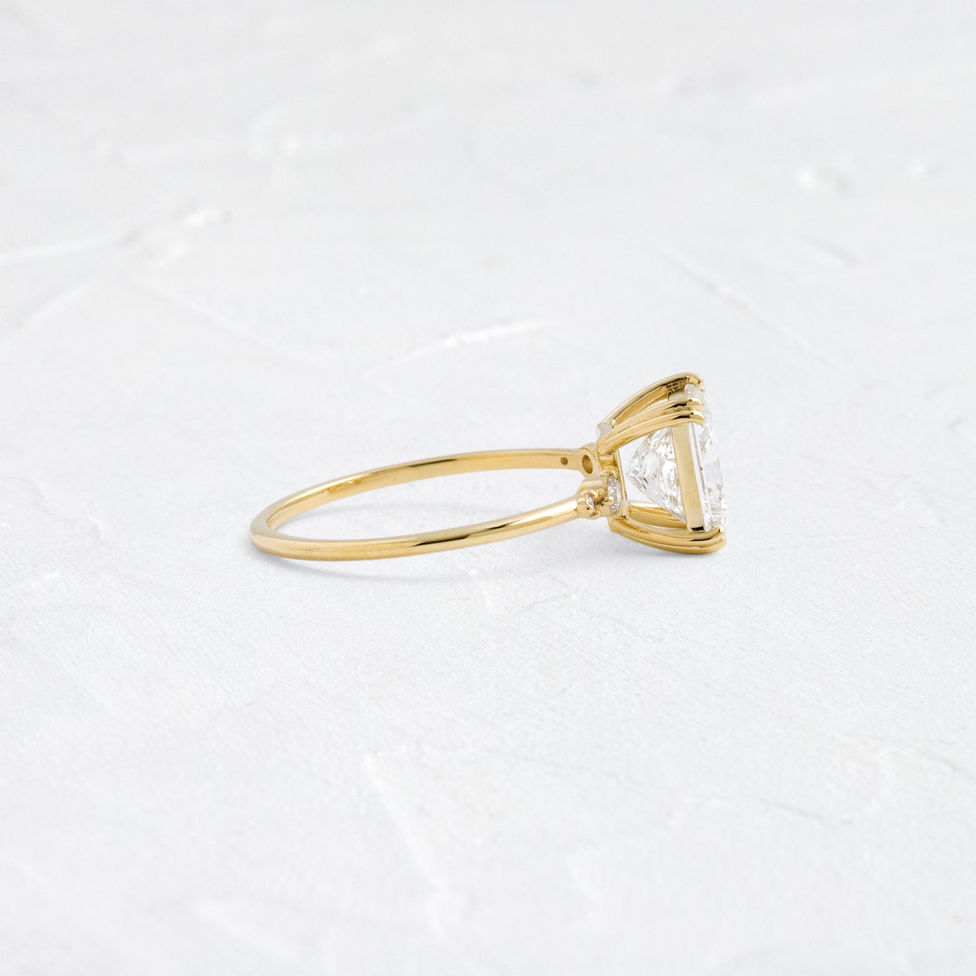 Double Prong & Four Stone-Princess Lab Grown Diamond Engagement Ring - Side view