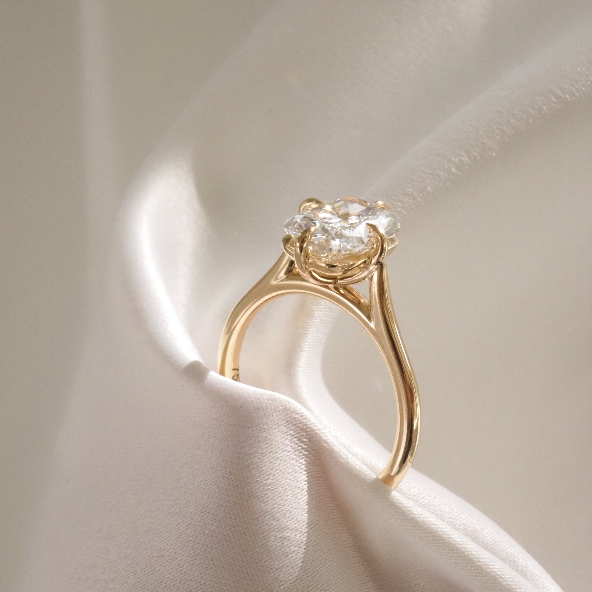 Solitaire Cathedral-Elongated Cushion Compass Prong Lab Grown Diamond Engagement Ring - Side view